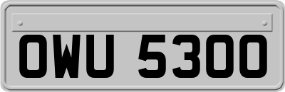 OWU5300