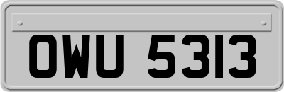 OWU5313