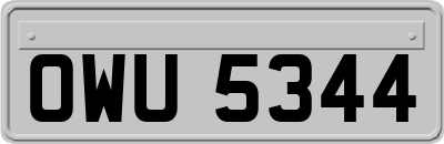 OWU5344