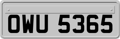 OWU5365