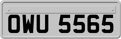 OWU5565