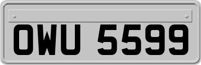 OWU5599