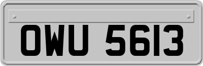 OWU5613