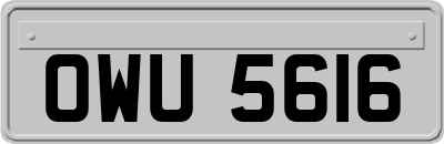 OWU5616