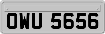 OWU5656