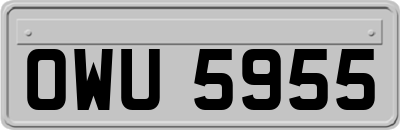OWU5955