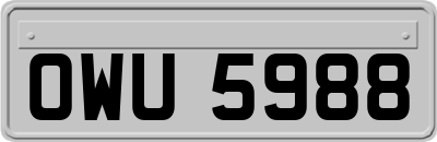 OWU5988