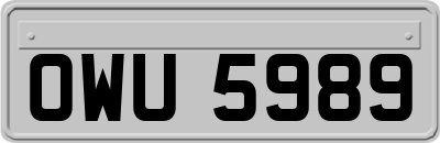 OWU5989