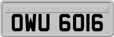 OWU6016