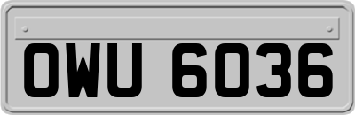 OWU6036