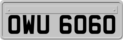 OWU6060