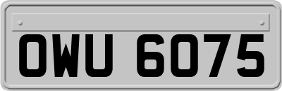 OWU6075