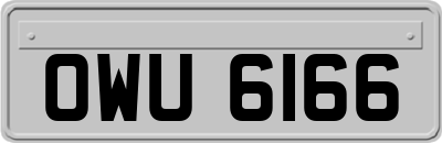 OWU6166