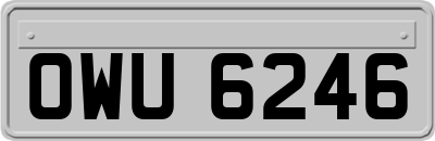 OWU6246