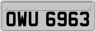 OWU6963