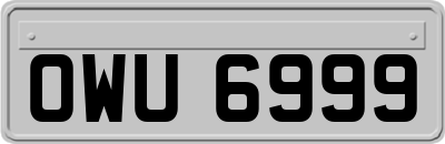 OWU6999