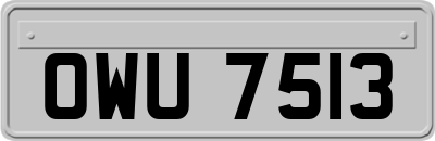 OWU7513
