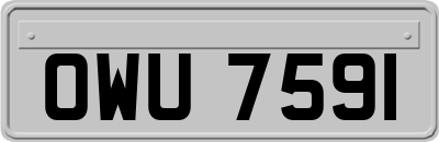 OWU7591