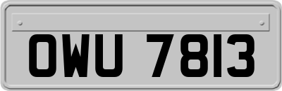 OWU7813