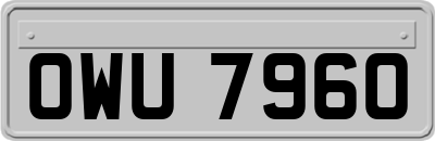 OWU7960