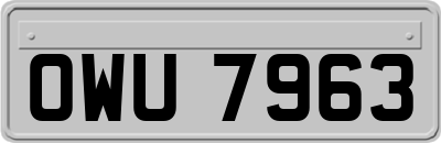OWU7963