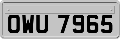 OWU7965