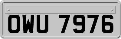 OWU7976