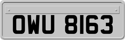 OWU8163