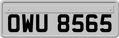 OWU8565