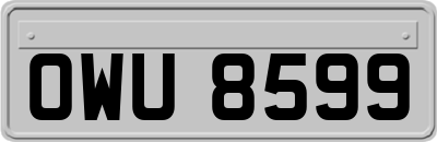 OWU8599