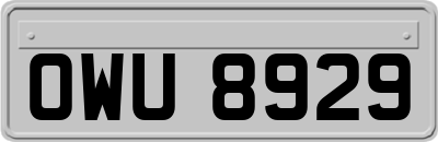 OWU8929
