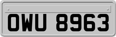 OWU8963