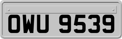 OWU9539