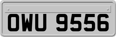 OWU9556