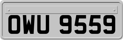 OWU9559