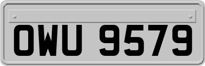 OWU9579