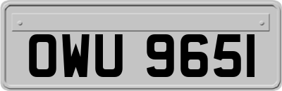 OWU9651