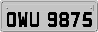 OWU9875