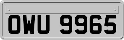 OWU9965