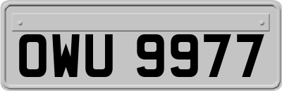 OWU9977
