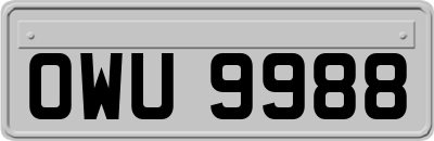 OWU9988