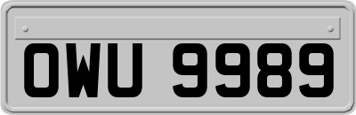 OWU9989
