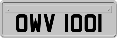 OWV1001