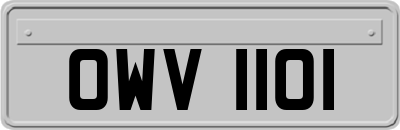 OWV1101