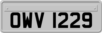 OWV1229