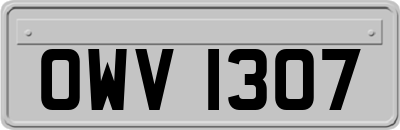 OWV1307