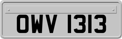 OWV1313