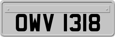 OWV1318