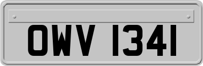 OWV1341