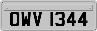 OWV1344